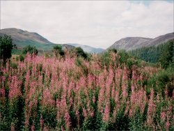 Stirling und Rannoch 2