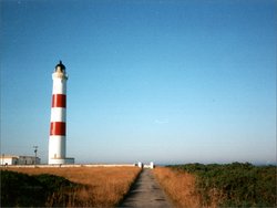 Loch Ness bis Dornoch Firth 5