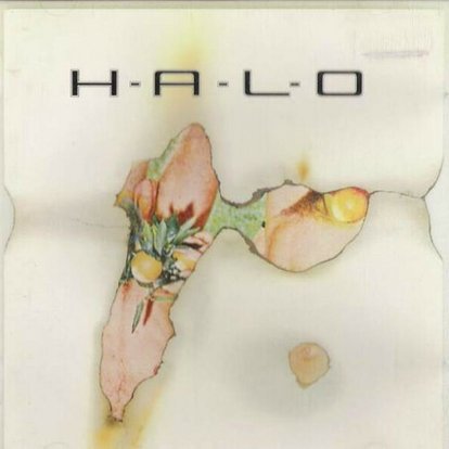 50 Jahre Jan: Platz 10