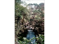 Loch Ness bis Dornoch Firth 4