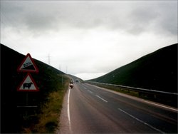 Glenfarclas, Glenshee, Perth 3
