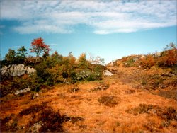 Grydalen und Lysebotn 1