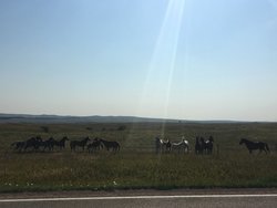Pine Ridge Reservation 1