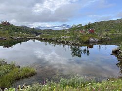 Torneträsk und Rückkehr nach Norwegen 4
