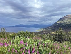 Torneträsk und Rückkehr nach Norwegen 2