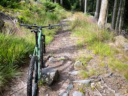 Unterwegs: Im Schwarzwald