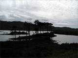 Loch Assynt.